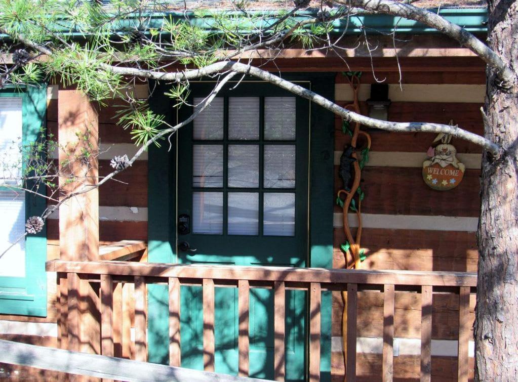 View! Cozy, Private, Fireplace, Hot Tub Log Cabin, Honeymoon! Севьервилл Экстерьер фото