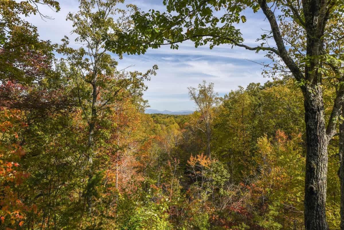 View! Cozy, Private, Fireplace, Hot Tub Log Cabin, Honeymoon! Севьервилл Экстерьер фото